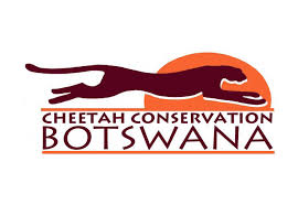 Cheetah Conservation Botswana